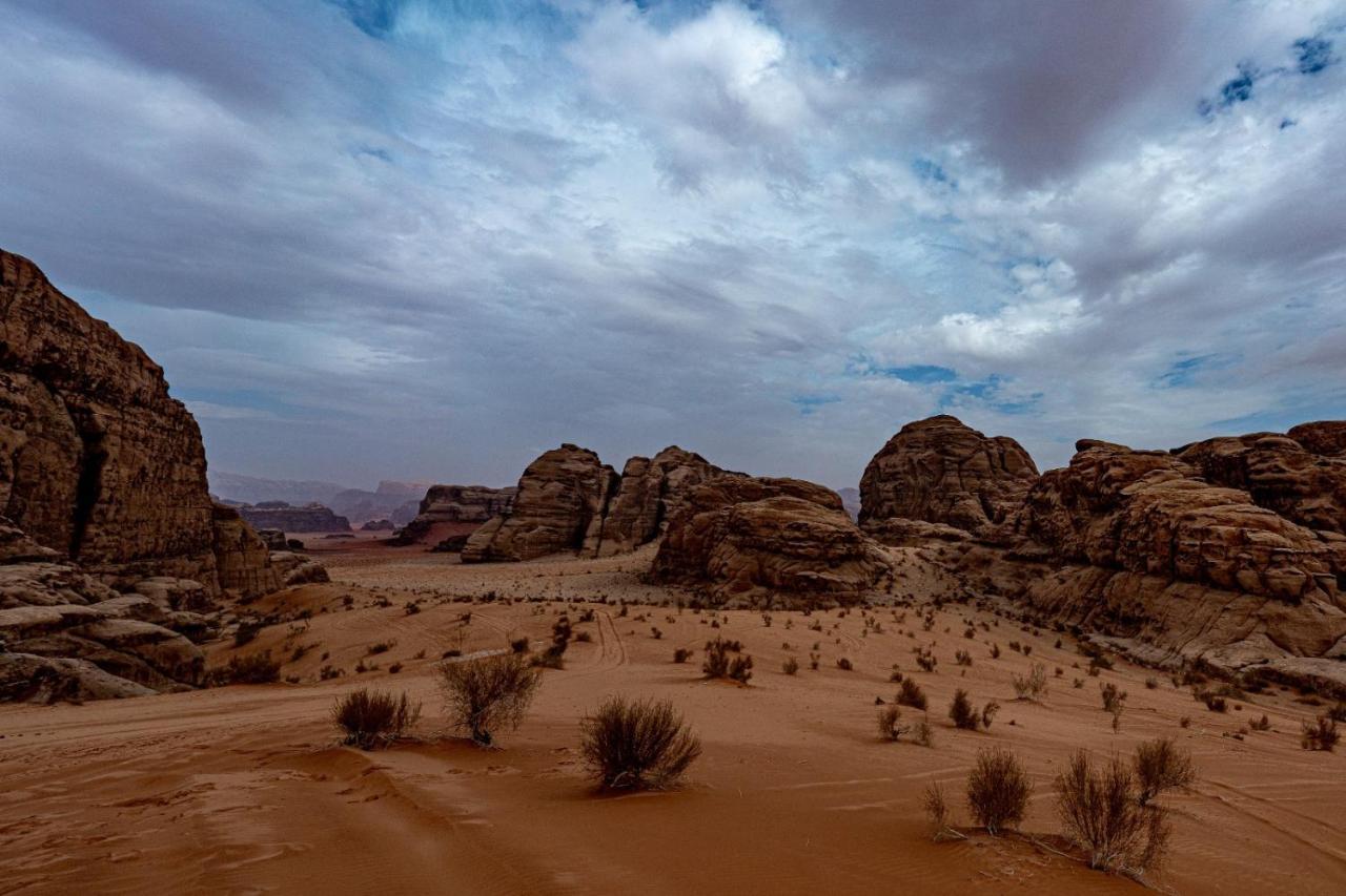 Wadi Rum Old Bedouin Camp Eksteriør billede