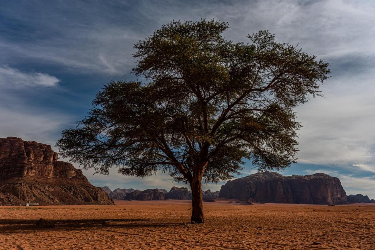 Wadi Rum Old Bedouin Camp Eksteriør billede