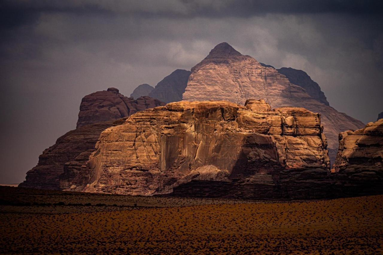 Wadi Rum Old Bedouin Camp Eksteriør billede