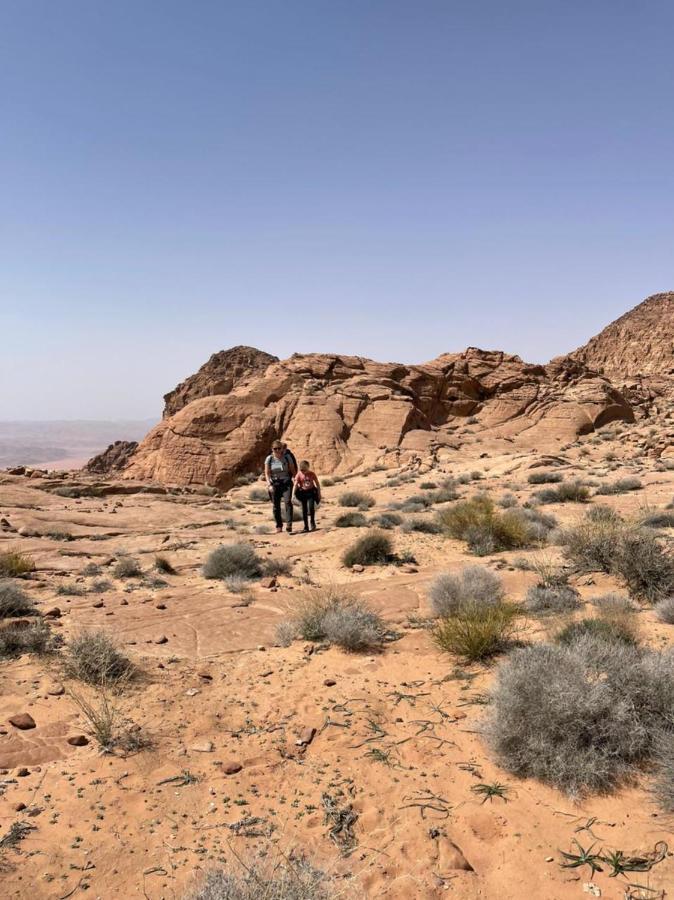 Wadi Rum Old Bedouin Camp Eksteriør billede