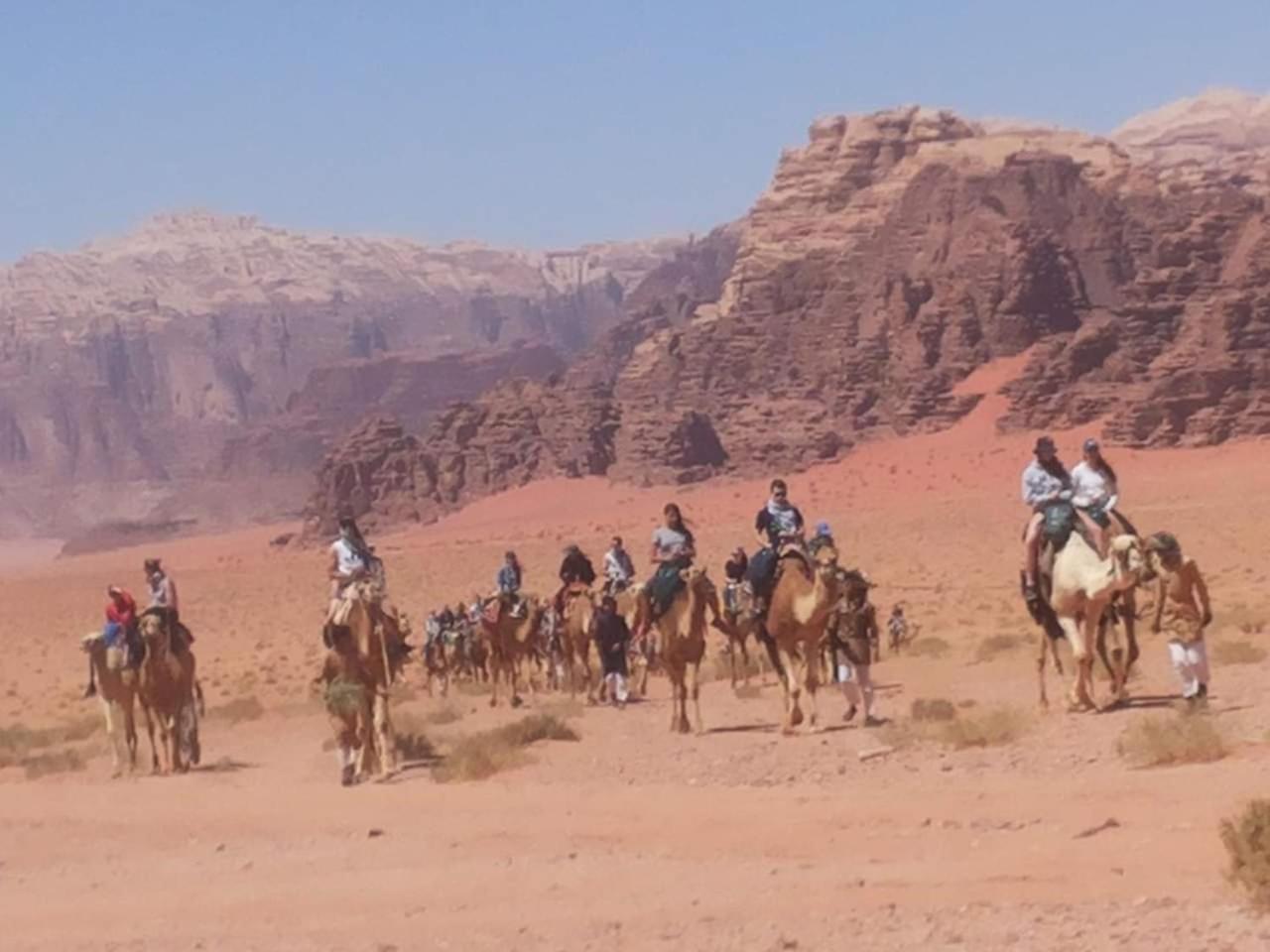 Wadi Rum Old Bedouin Camp Eksteriør billede
